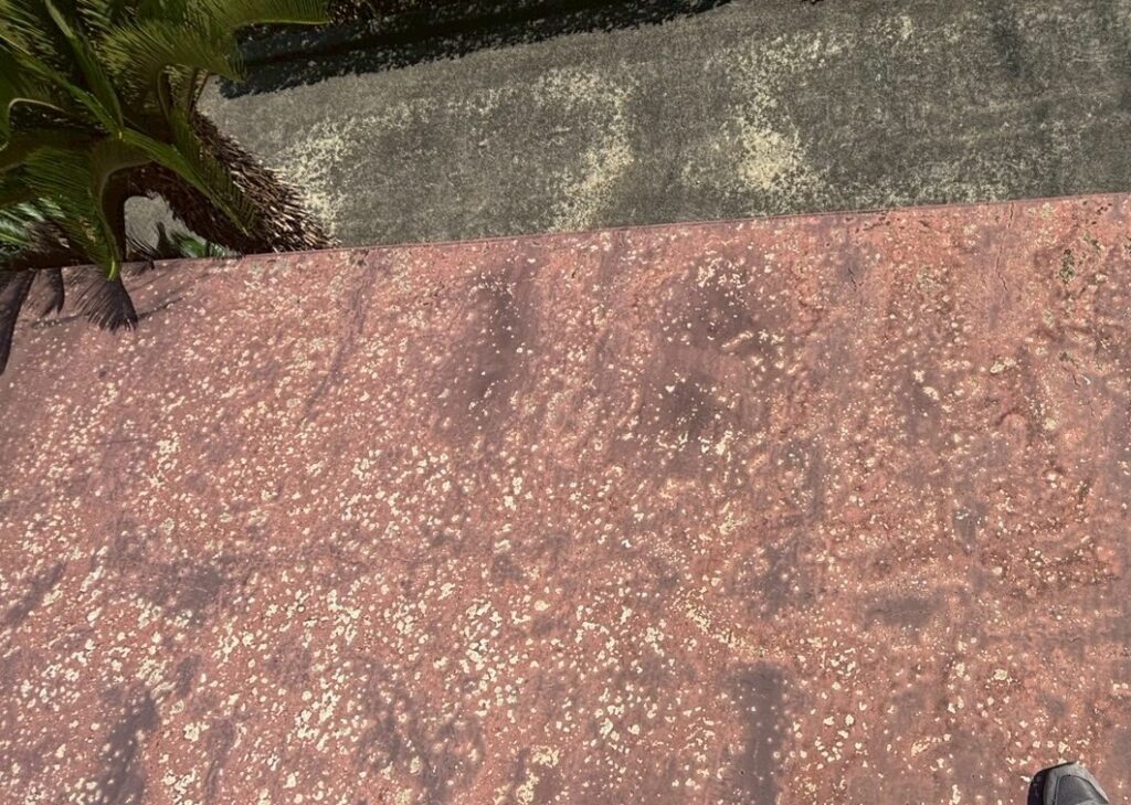 大木町　寺　トイレ　屋上防水　着工前 (3)